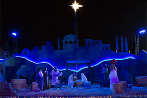 Nativity Scene Drive