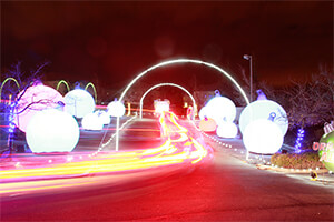Ornament Alley