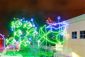 Ornament Alley