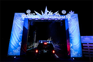 Winter Wonderland Arch