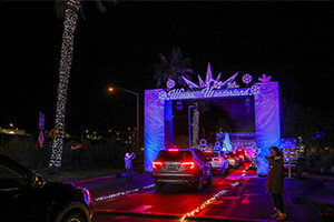 Winter Wonderland Arch