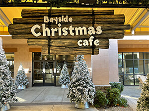 Christmas Village Display Set