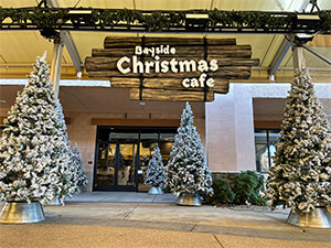Christmas Village Display Set