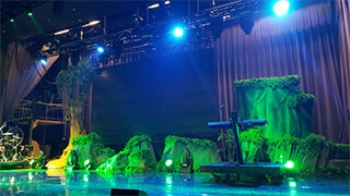 Jungle Set Display