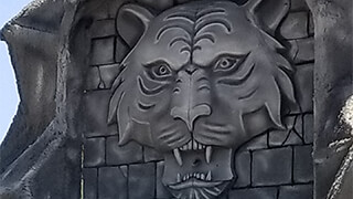 Jungle Set Display