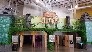 Jungle Set Display