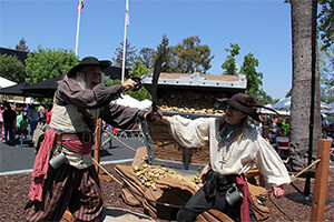 Pirate Theme